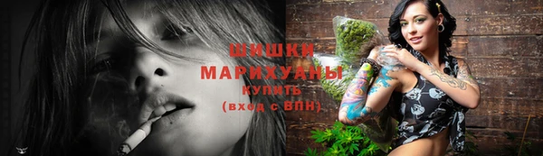прущие грибы Зеленокумск