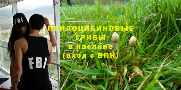 ешки Зерноград