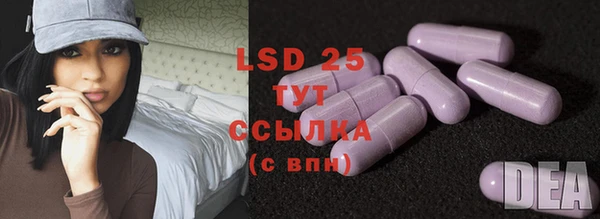 прущие грибы Зеленокумск