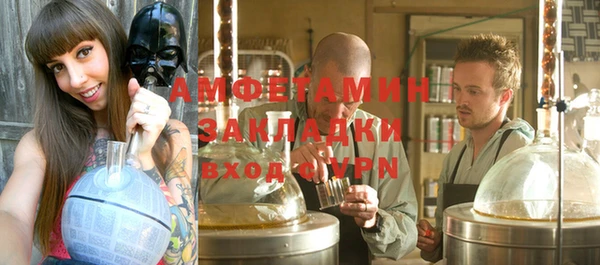 прущие грибы Зеленокумск
