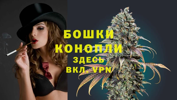 прущие грибы Зеленокумск