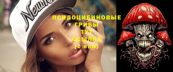 прущие грибы Зеленокумск