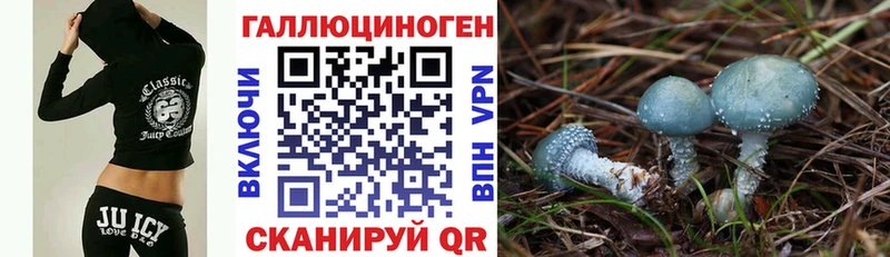 Купить закладки  Нея  Псилоцибиновые грибы мицелий 